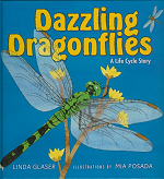 Dazzling-Drgflies-Cover-homepage[1]